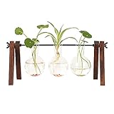 florero tubo de carton El diseño del trípode hace que todo sea más estable. La estructura simple hace que sea fácil de ensamblar, y la varilla metálica giratoria también facilitará el vertido de agua.