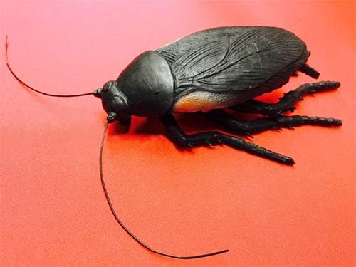 SUMAG Jumbo Rubber Roach Magic Tricks Prank Roach Prop Appearing Magic Stage Close up Street Bar Party Gimmick Classic Toy Funny