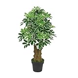 Lacers SMARAGDLINE Pflegeleichte künstliche Schefflera – Strahlenaralie 100cm, realistische Optik, Dekoration für Wohnzimmer, Balkon und Büroräume - pflegeleicht, langanhaltend ohne spezielle Pflege