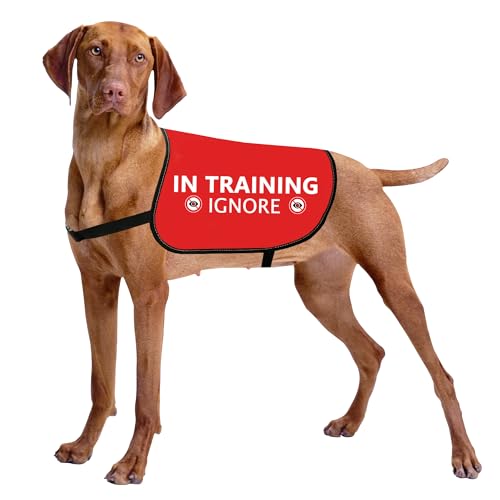HOLLP Training Jacket - Ignore Dog Walking Warning Vest (Large)