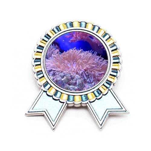 Broche océan en métal M pour raviver un manteau terne avec une touche nature