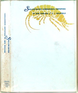 インフルエンザ様 専用Shallow Water | foreignlanguagestraining.com