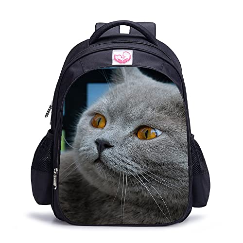 Sac à dos chat 16 pouces pour enfants et adultes de 41x28x12 cm