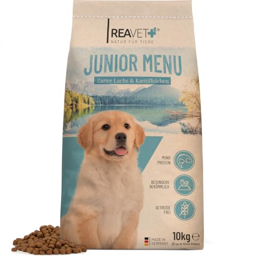 Produktbild von ReaVET Junior Menü Trockenfutter mit Lachs & Kartoffeln - 10 kg