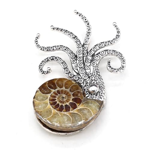 Image of Natural Fossil Brooches Ammonite Shape Conch Shell Apparel Pin for Coat Dress Clothes Decoration