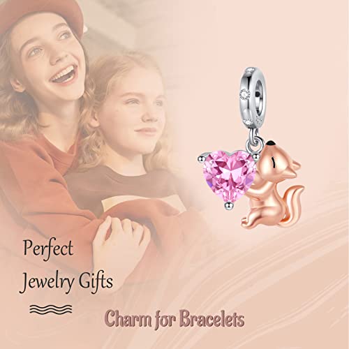 Annmors 925 Sterling Silver Charms Squirrel With 5A Cubic Zirconia Fit European Bracelets Charms,Christmas Valentine Mother's Day Gift For Women Girls #TOP2