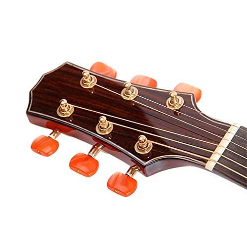 MEIeynt Kit de démarrage pour Guitare Acoustique 6 Cordes Guitarra Acustica Bundle Pack avec Ensemble de Corps en Coupe… - Les Beatles, Paul McCartney, John Lennon, RIngo Starr, George Harrison MEIeynt Kit de démarrage pour Guitare Acoustique 6 Cordes Guitarra Acustica Bundle Pack avec Ensemble de Corps en Coupe… – Image 5