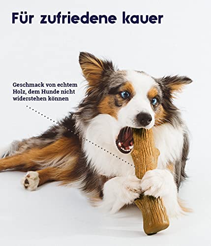 Petstages Hundekaustock - Mesquite Dogwood Hundeknochen - natürlicher Holzgeschmack - Langlebige Kaustange, Kauholz und Kaffeeholz Alternative, Klein