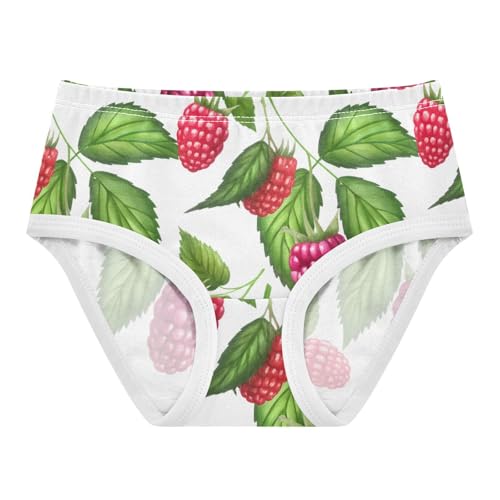 Cotton Toddler Underwear Custom Raspberry Red Berries Green White Panties Little Girl Cartoon Kids Briefs Undies 2t - Main Image