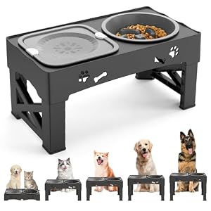 Raised Dog Bowls,5 Height Adjustable Elevated Dog Bowl Stand (8.2cm/22cm/25cm/28cm/31cm) for Small Medium Large Dogs,Tool-Free Raised Dog Feeder with Slow Feeder & No Spill Water Bowl