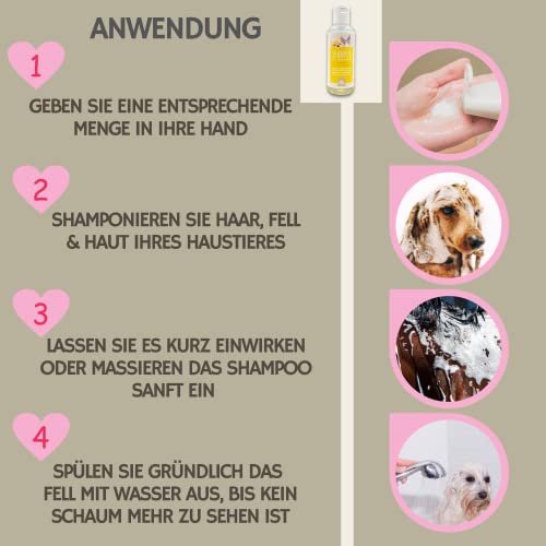 Tea Tree Shampoo Hund Katzen 250ml – mildes Hundeshampoo mit Teebaumöl pH-neutral I Glanzshampoo für Fell & Langhaar I Katzenshampoo für empfindliche Haut & Juckreiz I Fellpflege für Hund & Katze
