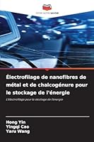 Électrofilage de nanofibres de métal et de chalcogénure pour le stockage de l'énergie 6209269028 Book Cover