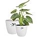 Price comparison product image elho Brussels Round Wheels - Large Flower Pots for Indoor - 100% Recycled Plastic - Set of 2 - Ø 35, 40 cm - White/White