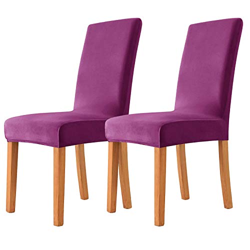 XDKS Lot de 2 housses de chaise de salle à manger en velours doux et extensible pour salle à manger, violet Cover