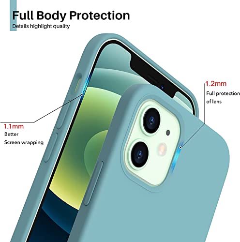 Image of DIZORO Microfiber Candy Case Compatible for iPhone 12 Smooth Touch Cushion Liquid Soft Silicone Gel Rubber Phone Cases Non-Slip Full Body Protective Shockproof Back Cover (Cactus)