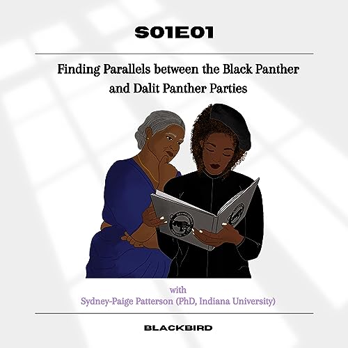 Finding Parallels between the Black Panther and Dalit Panther Parties