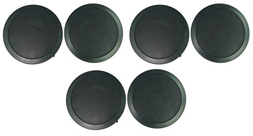 Rockville CC65T �u���b�N 6.5�C���` 70V/8�I�[�� �V��X�s�[�J�[ 20W�^�b�v 40W 8�� �G�C�}�u���c�C�[�^�[�A�y�C���g�\�O�����A�t���b�V���}�E���g ���X�g����/�o�[/�J�t�F�p 6�A�C�e��
