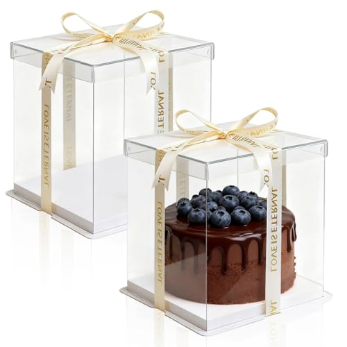 TFLPUO 2 Stück Geschenkbox Durchsichtig, Tortenbox mit Band 22 x 22 x 24cm Doppelte mit Deckel Tortenschachtel in Würfelform für Obstkuchen Desserts Geschenke