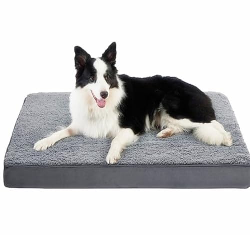 Xemuar hbOP[W hbO}bg O\ 􂦂 X|W  ybg}bg lG jo[T L ybgpi (L,O[)