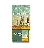 momento 2022 - Abreißkalender mit Rückwand und Aufstellfuß: Block mit 384 Blättern und Rückwand, zum Aufstellen oder Aufhängen