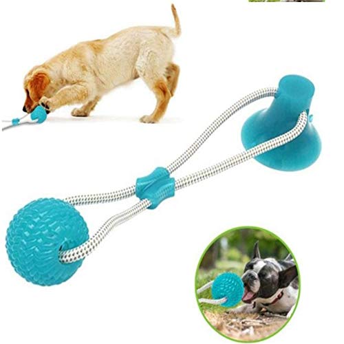 Cappellini per cani - qualità e ottime recensioni