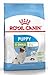 Price comparison product image Royal Canin Dog Food, Size X-Small Junior, pack of 2 (2 x 500 gr)