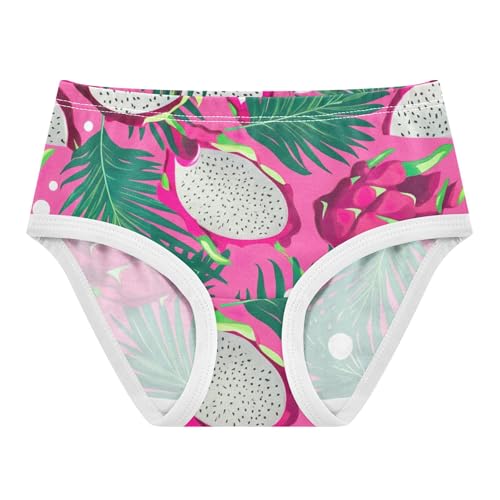 Tropical Dragon Fruit Pink Little Girl Panties Girls Underwear Toddler Cotton Print Underpants Briefs 2t