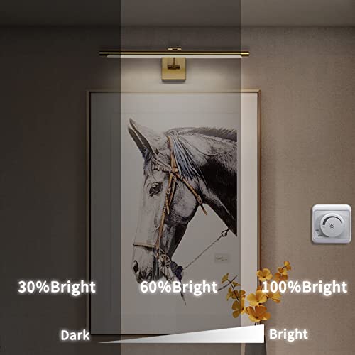 Joosenhouse LED Picture Light Fixtures Dimmable 24.4 Inches, Full Metal Artwork Display Lamp with Single Swing Arm, 14W (70W Eqv), Hardwired Connection, 3000K Warm White, Golden-Like Brass Finish by Joosenhouse - Image 4