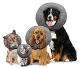 Arlee Pet Products 58412029: Poly Filled Adjustable E-Collar, Lg