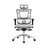 KAOROU Commercial Ergonomique Haut De Direction Mesh Président, avec réglable Soutien Lombaire, appuie-tête et 3D Accoudoirs Configurer Les Fonctions châssis (Color : B)