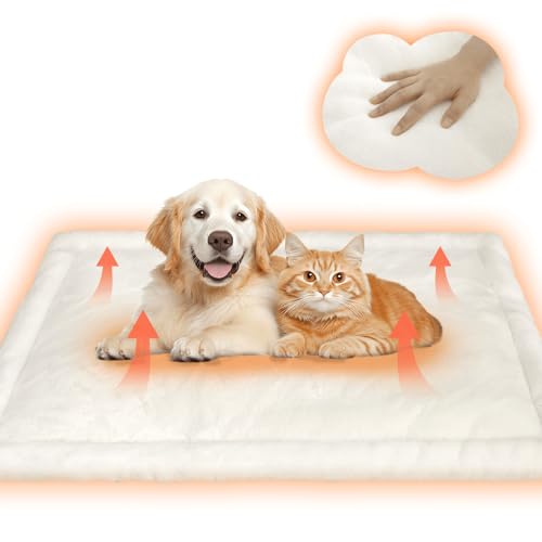 SunshineLife yWg+2dfMzybg}bg ym[x܃OtFۉz lvbVR[yL ELp G}  CICAێ ybgpbh xbh}bg ~ 􂦂 RۖhLh_j zM ÓdCh~ V[c 