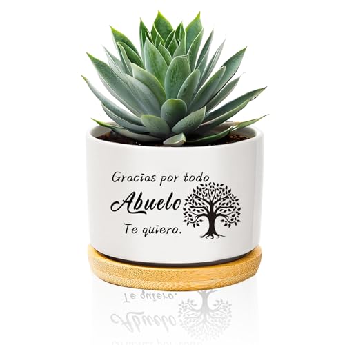 QWZify Regalo Abuelo CumpleañOs Regalos