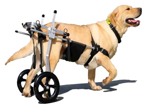 Déambulateur de Rééducation à Roulettes pour Chien Handicapé XXL - 2
