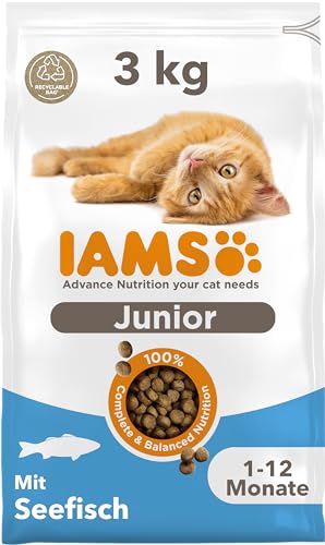 IAMS Junior Katzenfutter trocken mit Fisch - Trockenfutter für Kitten im Alter von 1-12 Monaten, 3 kg