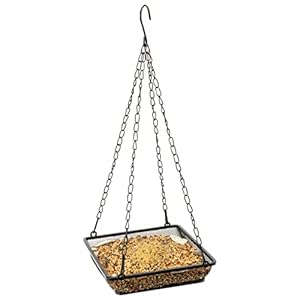 Hanging Feeder Seed Tray, Platform Metal Mesh , Outdoor Garden Decoration for Wild Backyard Attracting Birds