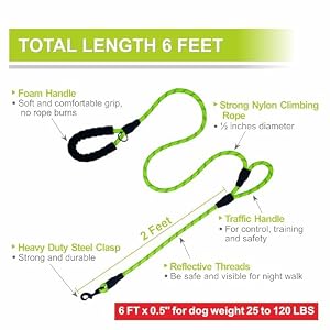 Dog Leash 6ft, Double Handle Dog Leash with Padded Handle, Reflective Double Loop Leash with Traffic Handle, Heavy Duty Rope Leash for Large and Medium Dog Control Safety Training (Green) Dog Leash 6ft, Double Handle Dog Leash with Padded Handle, Reflective Double Loop Leash with Traffic Handle, Heavy Duty Rope Leash for Large and Medium Dog Control Safety Training (Green)
