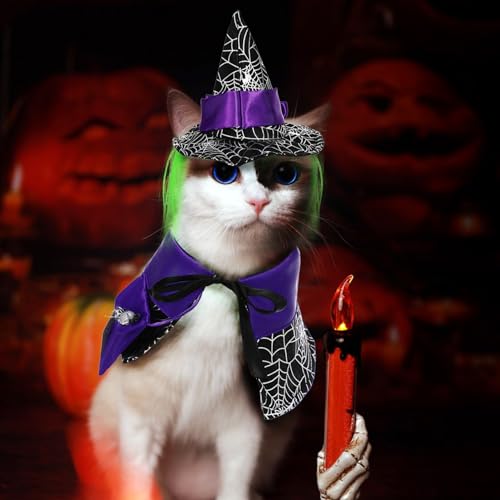 Disfraz de Bruja para Perros Halloween, Talla Única, Violeta miniatura 6