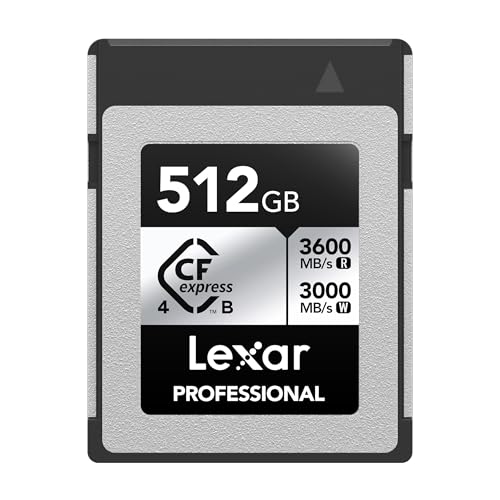 Image of Lexar 512GB Professional CFexpress Type B Silver 4.0 Memory Card, for Photographers, Videographers, Up to 3600 /3000 MB /s, 8K Video (LCXEXS4512G-RNENU)