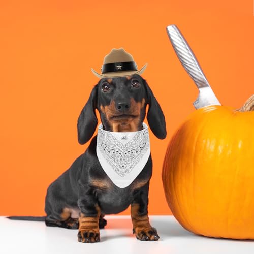 Disfraz Cowboy para Perros y Gatos Small Off-white miniatura 6