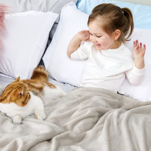 Image of Bedsure GentleSoft Bedding Fleece Blanket for Girls and Boys - Soft Cozy Cute Small Throw Blankets for Travel, 43x55 Inches, Linen