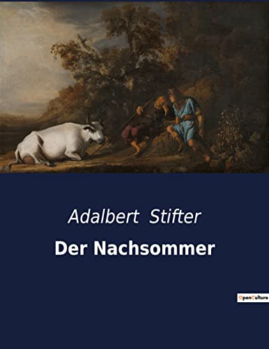 Der Nachsommer: Einblicke in das Leben und die Entwicklung eines jungen Mannes im 19. Jahrhundert (German Edition)
