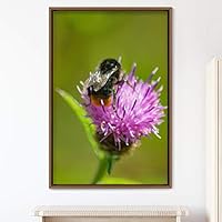 Framed Canvas Wall Art Butterfly Expressive Farmhouse/Country Home Office Insects Lake Multicolor Photography - 16x24 inches