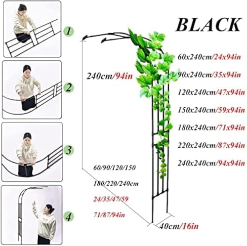 Arches de ballons et support plantes grimpantes 60x240