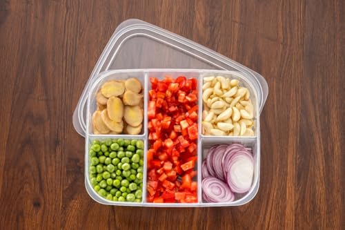 Image of THE SR BRAND 5 Compartment Food Storage Container,Fridge Organizer for Frozen Meat Onion Ginger Garlic Prepared Vegetables - Polyethylene