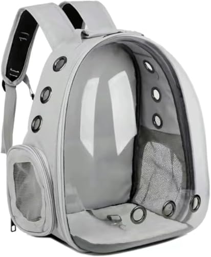 Riazdiw FDJvZ^LƌybgobOAobNpbNAUVJbgAʋCAeʁAϋvA܂肽݉\Apbh (O[)