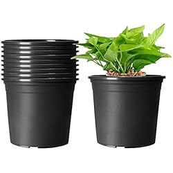 Maceta Lidl KAHEIGN 10 Piezas Plastico Macetas, 15,5cm Espesar Macetas Contenedor De Plantas Maceta De Jardinería Interior (Negro)