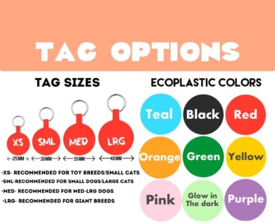 Miniatura 4 de Bowie Ziggy Stardust Lightning Bolt - Placa de identificación ecológica para mascotas silenciosa y ligera