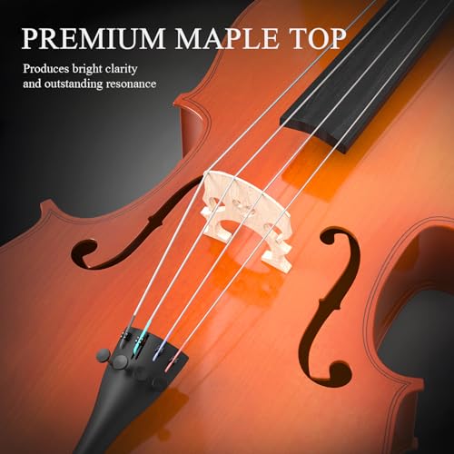 image for EPOFIT Full Size Cello Kit, Acoustic Cello Instrument for Adults,Stude