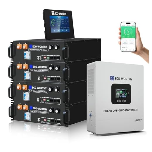 ECO-WORTHY Home Power Backup Station