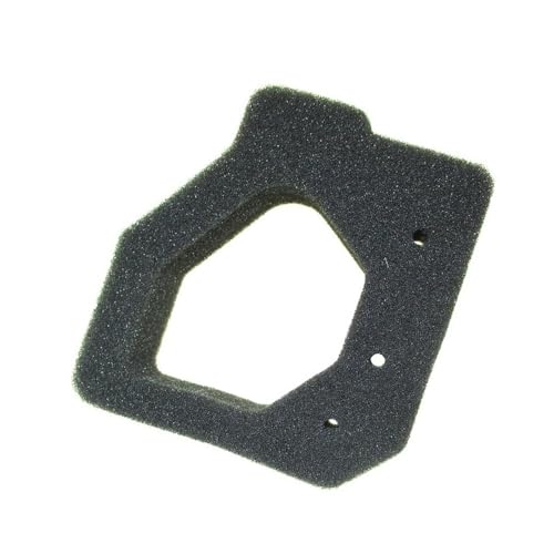 Filtre à air 17211-Z0H-800 pour moteurs GX25 et FG110